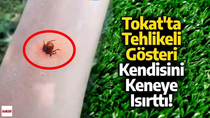Tokat'ta Tehlikeli Gösteri: Kendisini Keneye Isırttı!