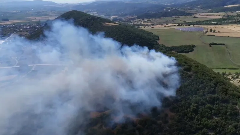Tokat'ta Orman Yangını! Dronla Görüntüler Ortaya Çıktı