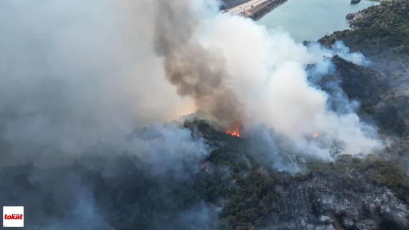 Tokat'taki orman yangınıyla ilgili 1 kişi gözaltına alındı