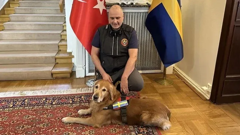 Kahraman Köpek Killian'ın Acı Kaybı: Türkiye'nin Gözü Yaşlı!