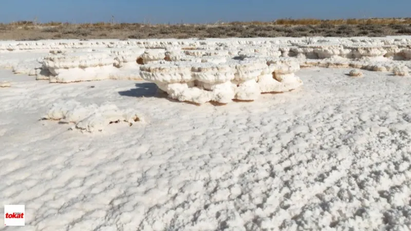 Türkiye’nin Doğal Hazinesi Çöküyor Son 90 Yılda %85 Küçüldü Tuz Deposu Adeta Eriyor