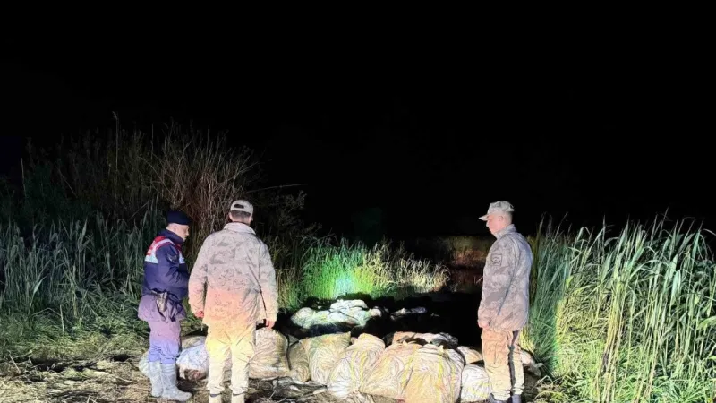 Van'da Balık Katliamı! 15 Ton İnci Kefali Kaçak Avlandı!