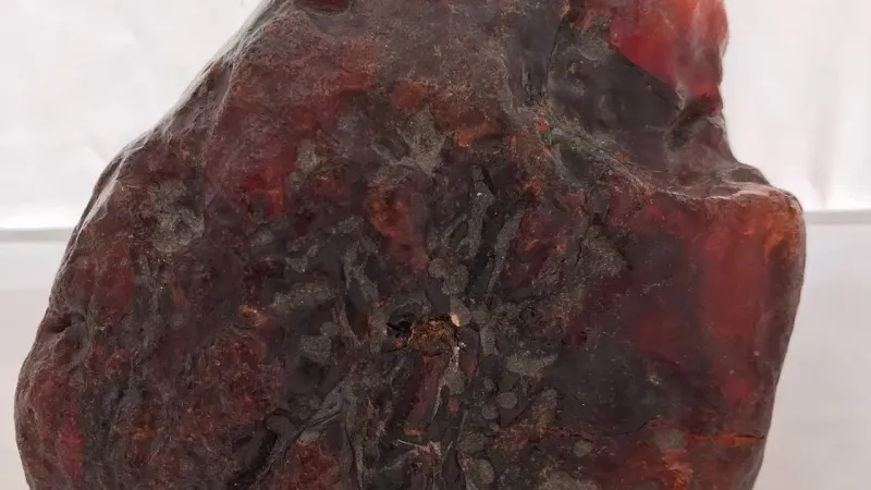 Kapı Takozu Sandı Servet Buldu! 1 Milyon Euro'luk Amber Şoku