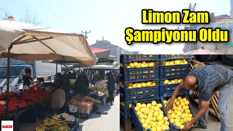 Zirai Don Meyve Fiyatlarını Vurdu, Sebzeler Uygun Kaldı